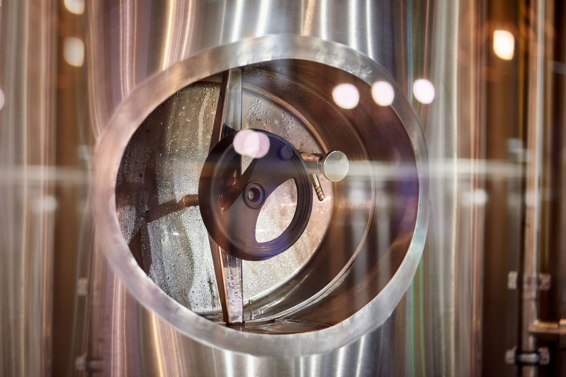 Come costruire vini dealcolati di qualità: dalla tecnologia al prodotto
